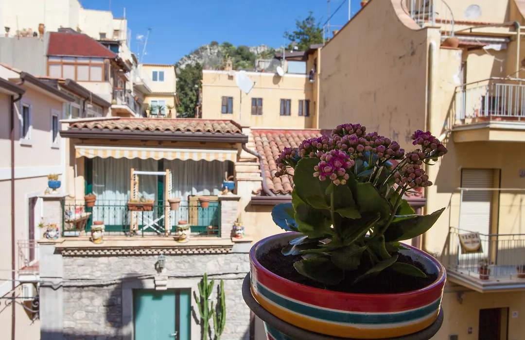 Casa Don Micio-1