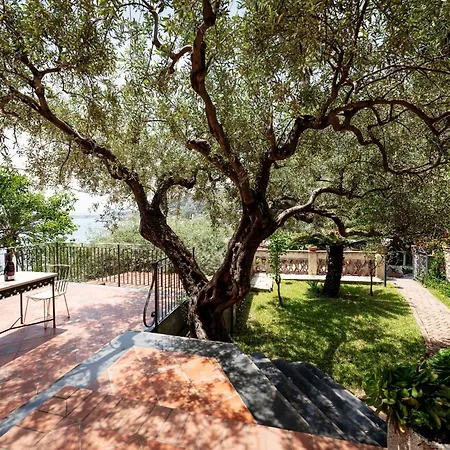 Villa degli Ulivi-3