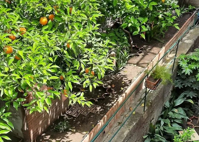 B&B Greco Home Taormina